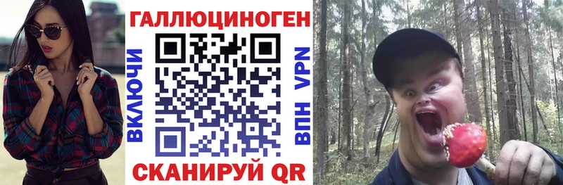 Купить закладки  Суздаль  Псилоцибиновые грибы Psilocybe 